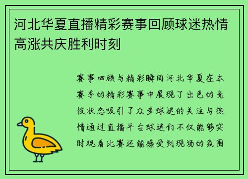 河北华夏直播精彩赛事回顾球迷热情高涨共庆胜利时刻