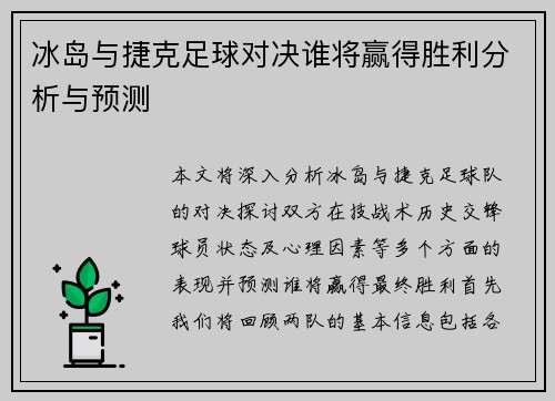 冰岛与捷克足球对决谁将赢得胜利分析与预测