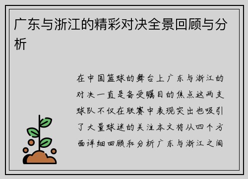广东与浙江的精彩对决全景回顾与分析